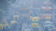 Nueva Delhi restringe el tránsito vehicular por la alta contaminación