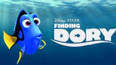 ‘Buscando a Dory’, ¡lanzan el primer tráiler completo!