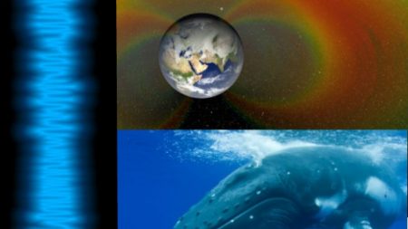 Los sonidos en el espacio se asemejan al de las ballenas jorobadas: Escuche aquí