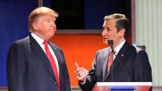 Ted Cruz pronunció su apoyo a Donald Trump y otras noticias