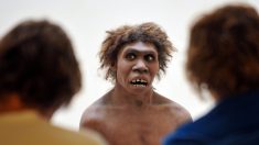 La depresión y la adicción están escritas en el ADN neandertal