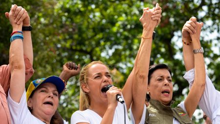 Venezuela: Mitzy Capriles «implora» apoyo de UE a la AN