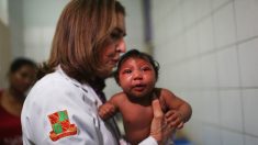 México: Ensayan radiación contra el mosquito que provoca el zika