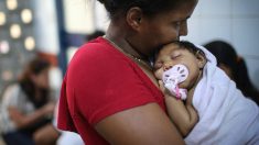 Venezuela: Tres muertes por zika y más de 300 casos confirmados