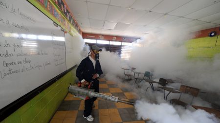 Miles de hondureños realizan campaña para erradicar el mosquito del zika