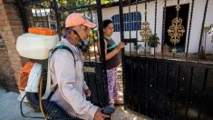 La OPS estima que habrá unos 2 o 3 millones de casos de zika en Latinoamérica