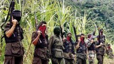 Santos ordena intensificar operaciones contra ELN en Colombia