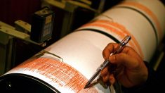 Chile: fuerte sismo se registró en la región de Coquimbo