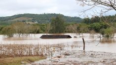 Argentina alerta que “El Niño” causará la peor inundación en 30 años
