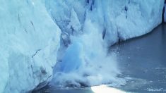 Glaciar Perito Moreno de Argentina se derrumba (Video)