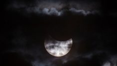 El “gran eclipse solar” será transmitido en vivo por la Nasa