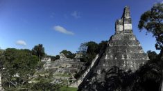 Población Maya habría disminuido por erupción de volcán