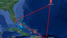 Desaparece avioneta de diseñadora neoyorkina en el Triángulo de las Bermudas