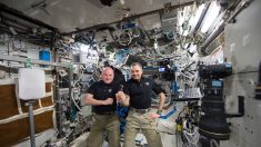 Scott J. Kelly y Mikhail Kornienko regresaron a la Tierra luego de un año en el espacio