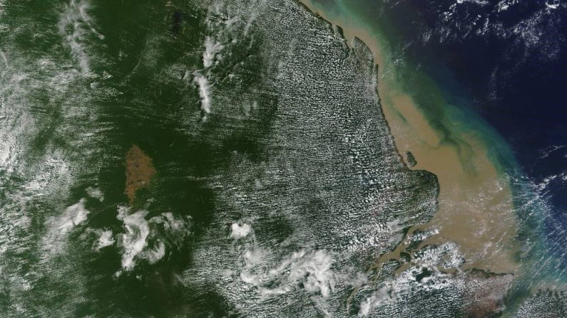 Vista de satélite de la zona en la que se ha descubierto el arrecife de coral. Modis / NASA