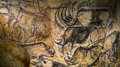 Afirman que las pinturas rupestres en una cueva del sur de Francia son de hace 30.000 años