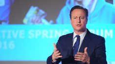 Noticias internacionales de hoy, lo más destacado: Reino Unido dijo que sí al Brexit y renuncia Cameron