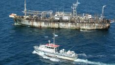 Aumenta presencia ilegal de barcos pesqueros chinos en zona de exclusión territorial latinoamericana