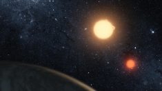 NASA recupera contacto con el Telescopio Kepler y dice que está a salvo