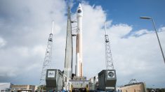 Florida tendrá su propia planta para desarrollar satélites