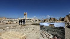 Fotos antes y después que ISIS destrozara el corazón de Palmira