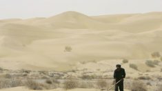 La desertización de China está causando problemas a lo largo de Asia