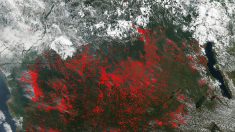 NASA capta múltiples incendios en África Central