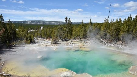 Buscan a un joven que cayó a una fuente termal del Yellowstone