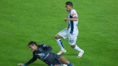 Liga MX: Gallos ‘picotean’ al Tiburón, 2-0