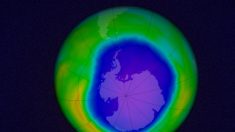 Pese al gran agujero, aseguran que la capa de ozono de la Antártida se está recuperando