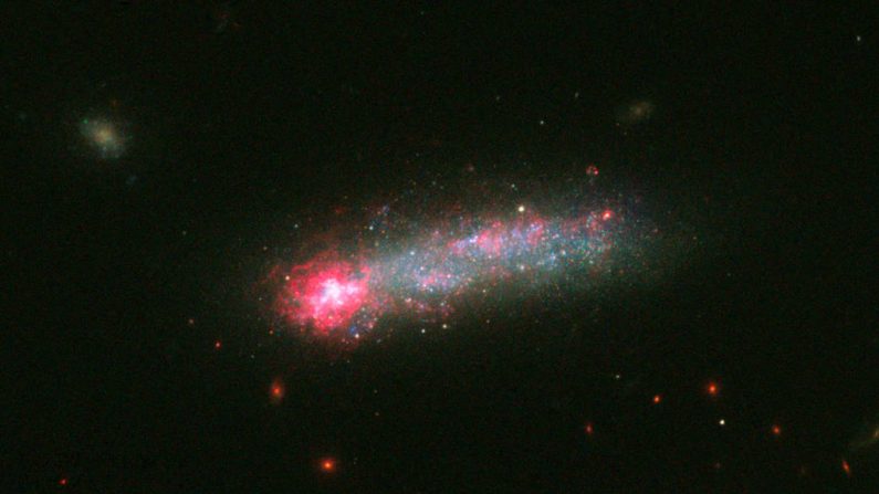Nacimiento de estrellas en galaxia enana Kyso 5639.  Crédito: NASA, ESA, y D. Elmegreen (Vassar College)

