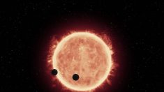 Descubren dos planetas similares a la Tierra