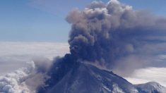Pavlof, el volcán más activo de Alaska presenta nuevas actividades sísmicas