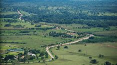 Colombia ha perdido más de 2.4 millones de hectáreas de bosque