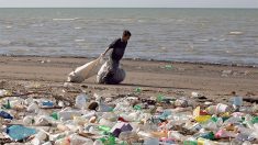 El 80% de toda la basura que llega al mar son plásticos