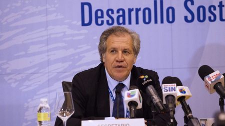 Jefe de la OEA: «En Venezuela no hay democracia ni Estado de Derecho»