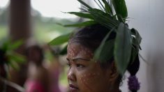 Día Internacional de los Pueblos Indígenas: el desafío de educar en la diversidad cultural