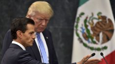 Últimas noticias de México hoy: Peña Nieto y Trump se reunirán antes de su asunción como presidente