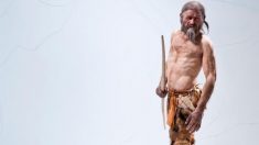 Ötzi, el Hombre de hielo de 5000 años cambia el mapa de las migraciones europeas
