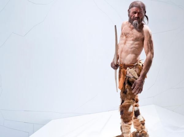 Otzi, el hombre de hielo que vivió en el Tirol hace 5.300 años. (Museo Alto Adige)