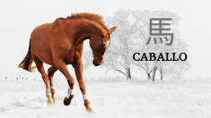 Aprendiendo chino: Mǎ 馬, el caracter chino que representa al caballo rebosa de vitalidad y energía