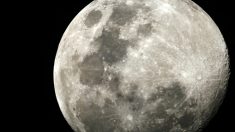 El agua en la Luna es abundante, según nuevo estudio