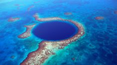 La Barrera de Arrecifes de Belice es otra maravilla de la Naturaleza