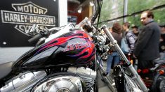 Con nueva tienda festeja Harley Davidson sus 100 años