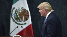 ¿De qué se trata el plan migratorio que propuso Trump en México?