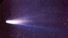 Descubren el primer cometa interestelar que se acerca a la Tierra, viene tras la visita de Oumuamua