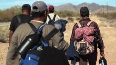 Últimas noticias de inmigración: miles de indocumentados mueren en el desierto de Arizona
