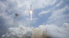 Virginia: Lanzan con éxito un cohete de carga a la estación espacial