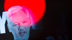 Suecia retira los cargos contra Assange, pero será detenido si sale de la embajada