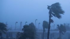 EN VIVO: mira cómo el huracán Matthew golpea las playas de Florida